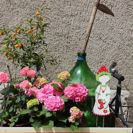 La Fontana 3*